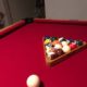 Professional Buckhorn Pool Table